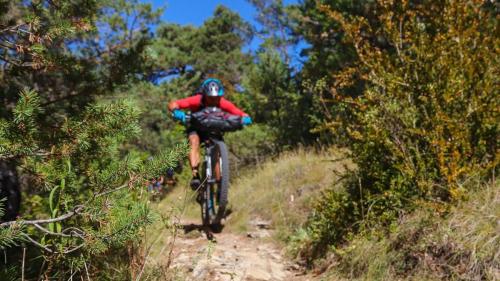 VTT so BUL 2018-102